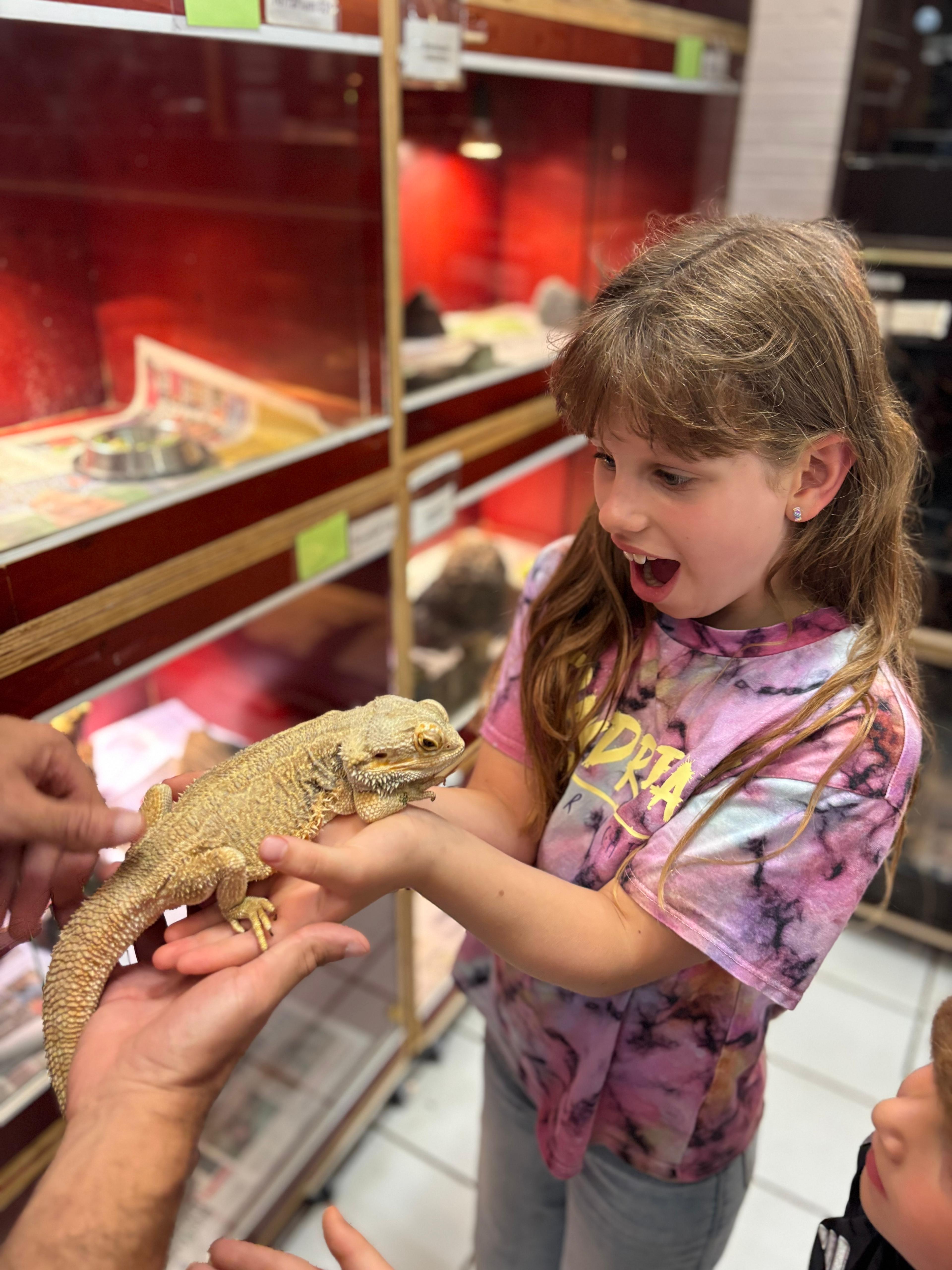 Lizards experience