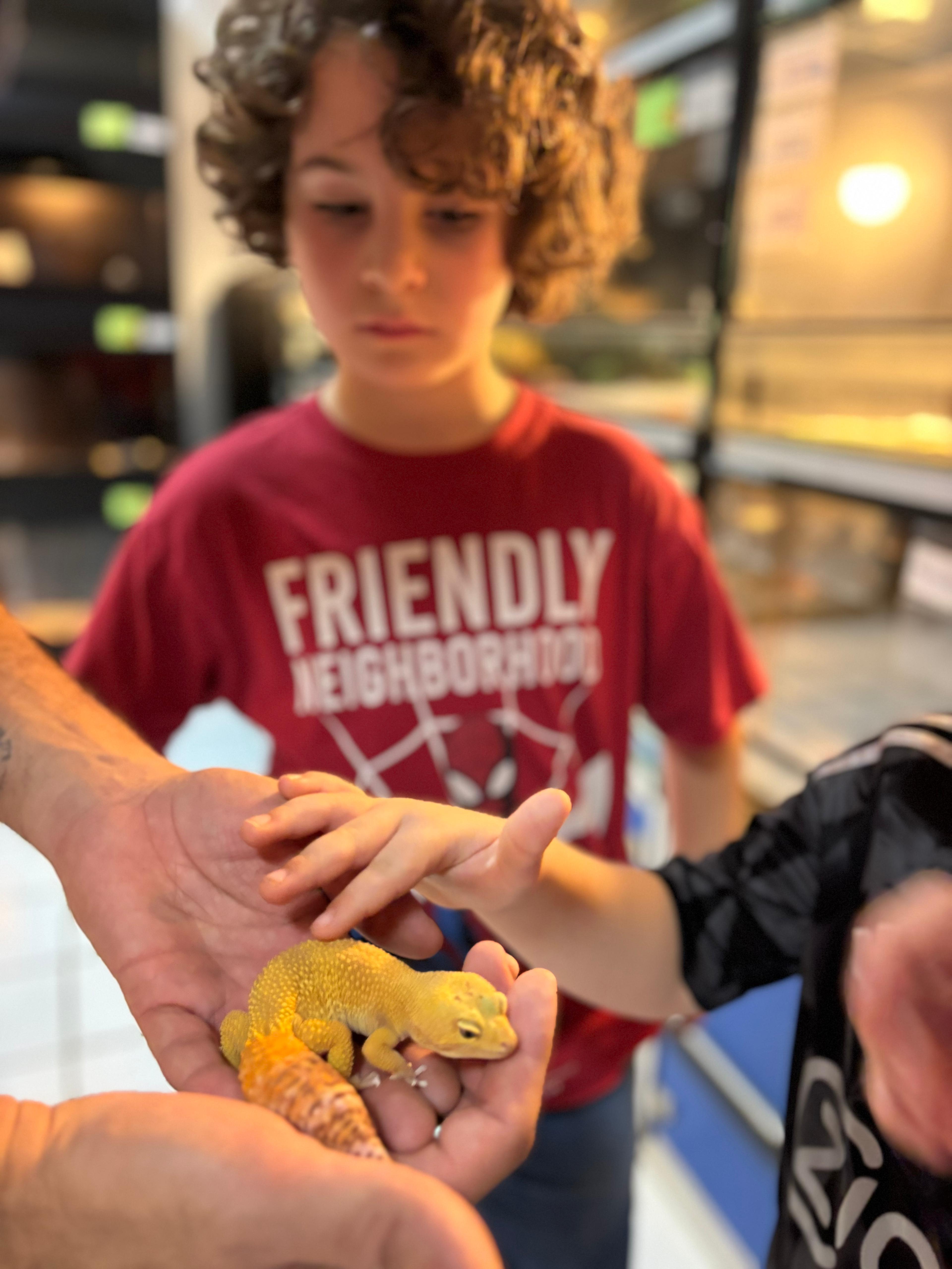 Tour visitor